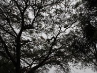 Marion, Romane South Africa 2014 (8 of 80) : Bundu lodge, Marion visit